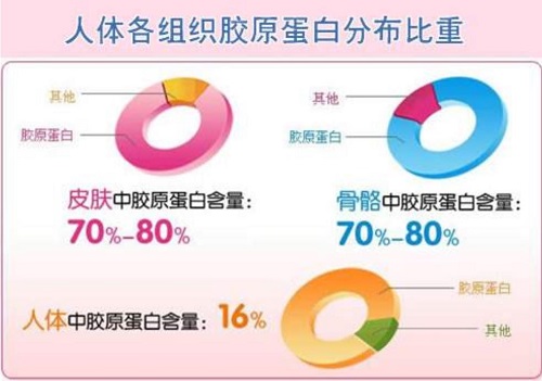 怎样选择胶原蛋白？给你4条黄金法则