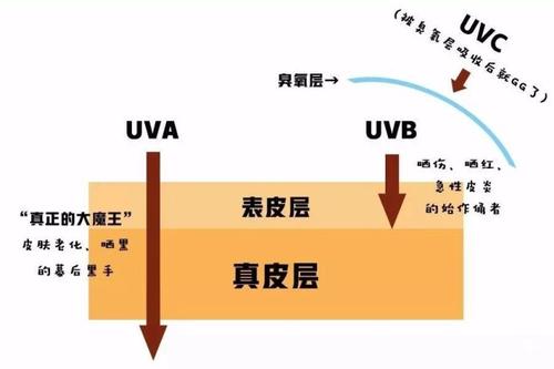 胶原蛋白流失的原因，青檬护肤为你一一解读