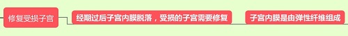 胶原蛋白可以修复子宫内膜、保养卵巢吗？