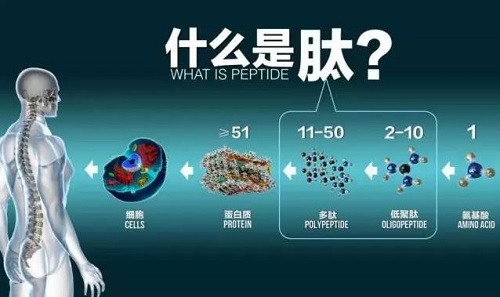 胶原蛋白那个品牌好？专业营养师教你选胶原蛋白