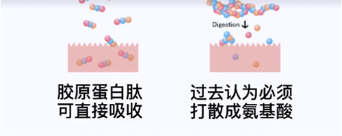 到底胶原蛋白肽有没有用 这篇文章破解你的迷思