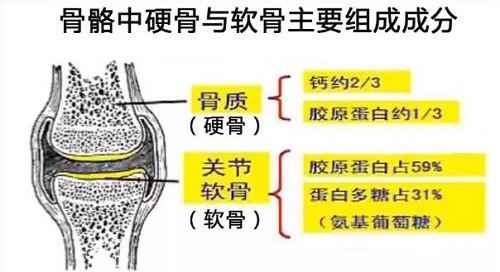 胶原蛋白的功效与作用 这几点你未必知道