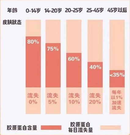 含胶原蛋白的食物 吃啥食物补充胶原蛋白