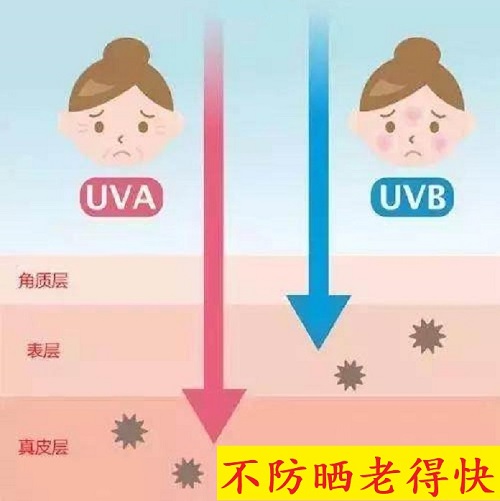 胶原蛋白肽什么时候喝最好？6个让吸收翻倍的小窍门