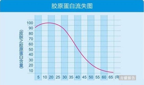 胶原蛋白有没有用 怎样补充 你想知道的都在这儿