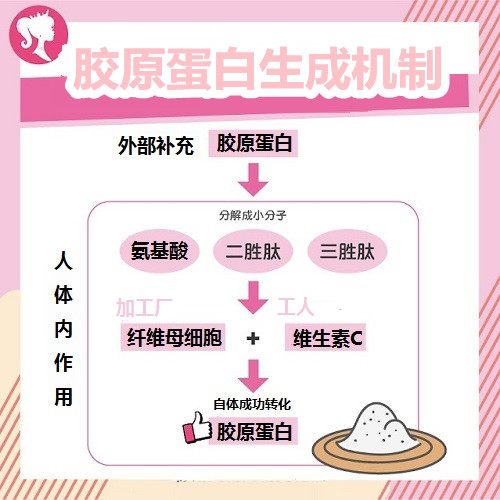 胶原蛋白怎么吃最有效？挑选标准与最佳补充时机