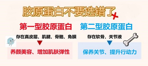 怎样选择胶原蛋白？四大秘诀轻松拥有北鼻肌！