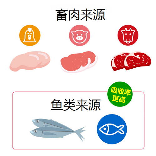 胶原蛋白基础知识 从此没人忽悠得了你