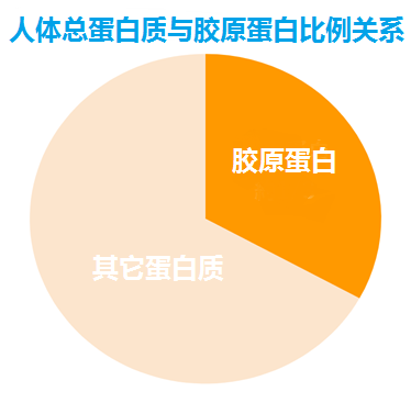 胶原蛋白功效、类型、选购与吃法，一次讲清楚