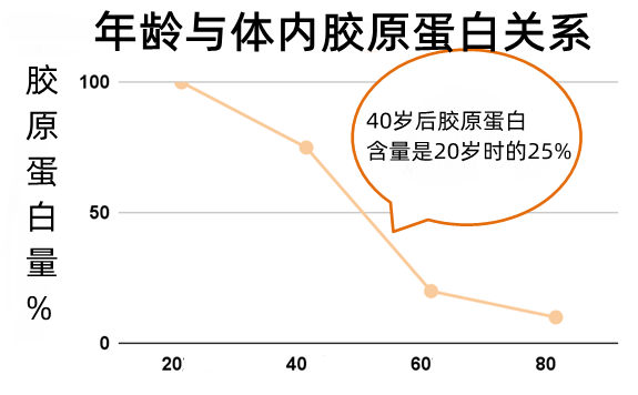 胶原蛋白功效、类型、选购与吃法，一次讲清楚