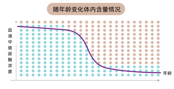 什么是玻尿酸？它有哪些功效？