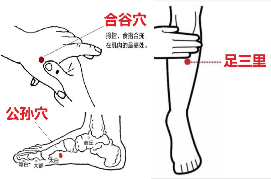 改善肠道健康 怎么吃怎么动怎么睡 医师的15条建议