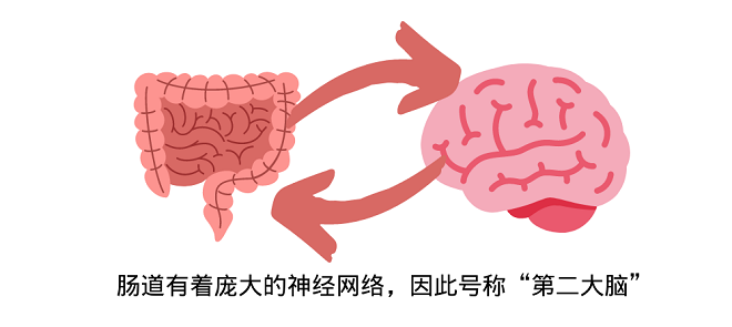 养肠须知的肠道健康知识 只有懂它才能更好地“爱”它