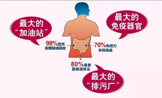 95%的人存在肠道健康问题！你的肠道还好吗