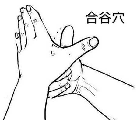 便秘按哪里能快速通便？4大穴位图文详解