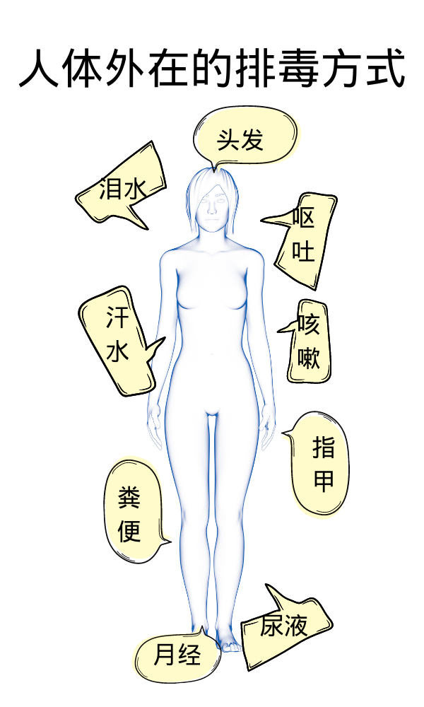 帮大肠排毒 只须做对这几件事 清掉身体75%废物