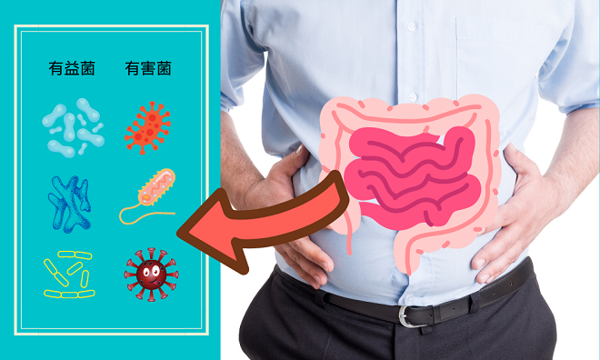 肠道菌群失调是什么原因造成的？改善的方法有哪些