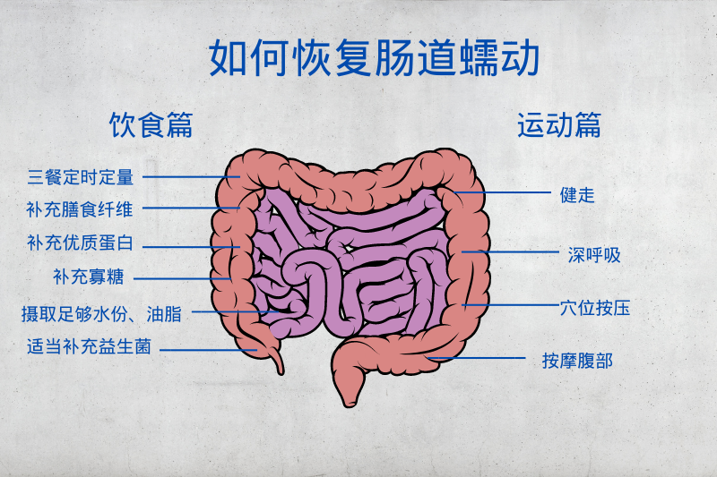 肠道蠕动慢原因是什么？如何恢复肠道蠕动功能