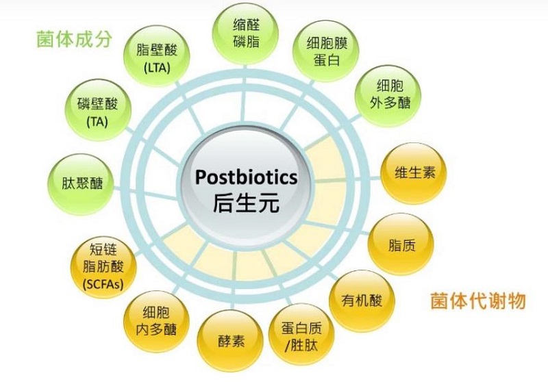 后生元是什么，好处？跟益生菌、益生元的区别？