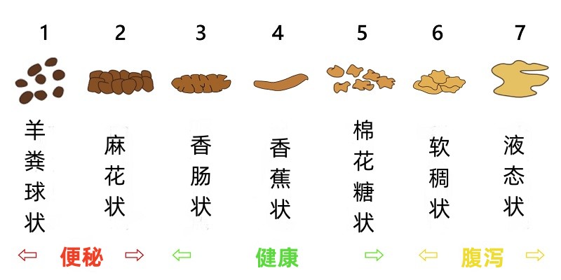 便秘怎么办？原因、危害与改善方法大起底