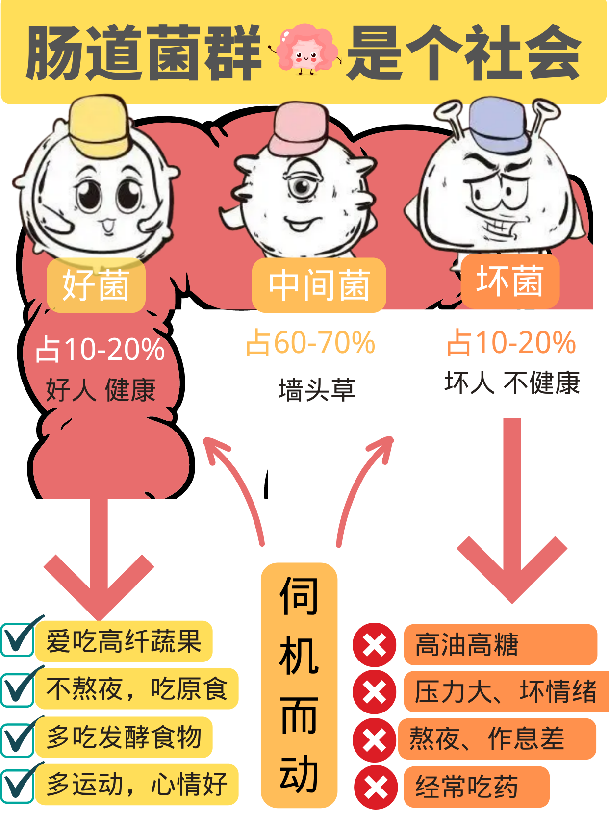 肠道怎么调理更健康？4个方法养出肠道好菌