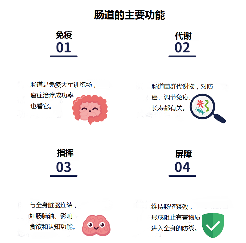 肠道健康的重要性，怎样判断自己肠道是否健康？