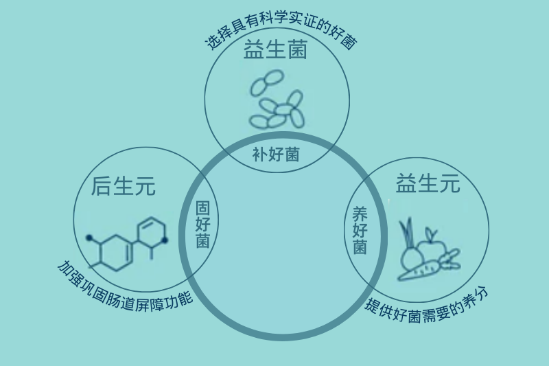 什么是后生元？它对人体健康有哪些好处