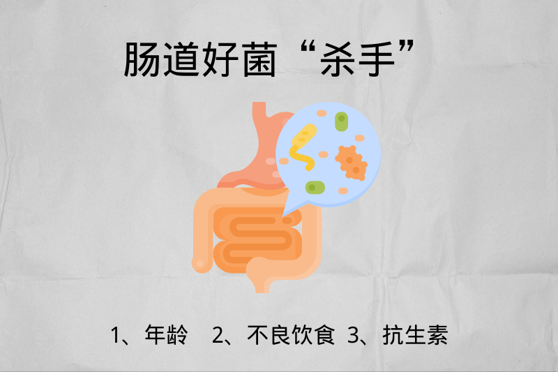 肠道好菌为什么会减少，哪些人更需要补充益生菌？