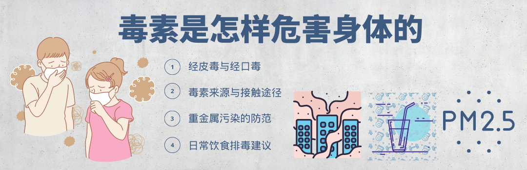 毒素是怎样危害我们身体的？减少伤害4要点