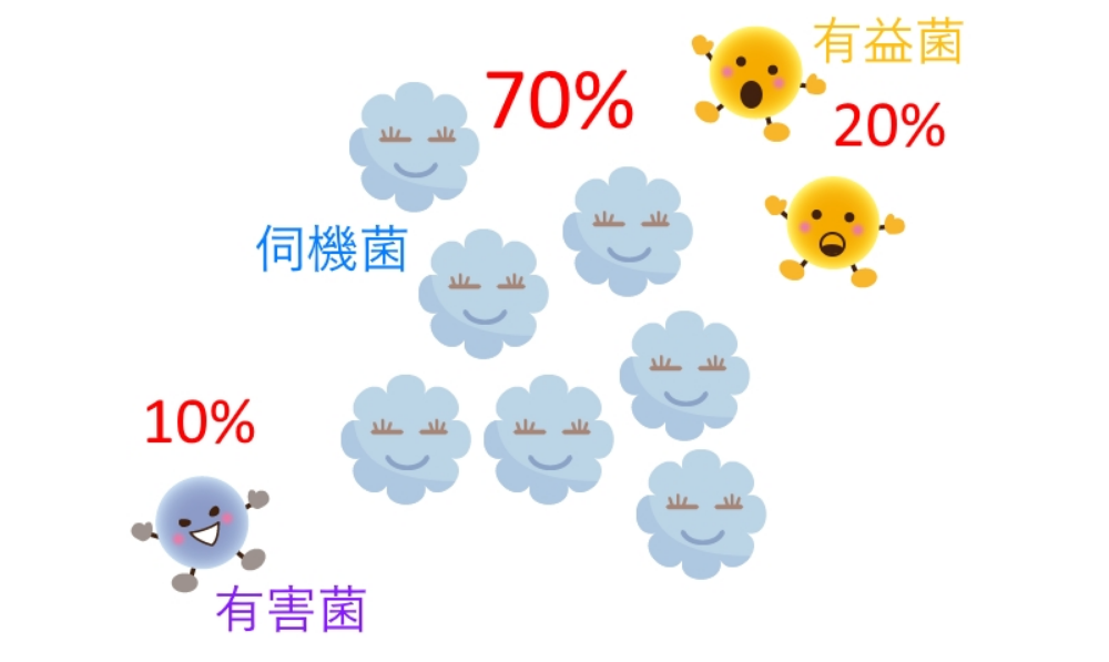 震惊：肠道菌群决定你喜欢吃什么！