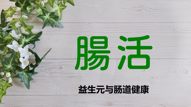 益生元对益生菌的重要性？哪些食物含有益生元