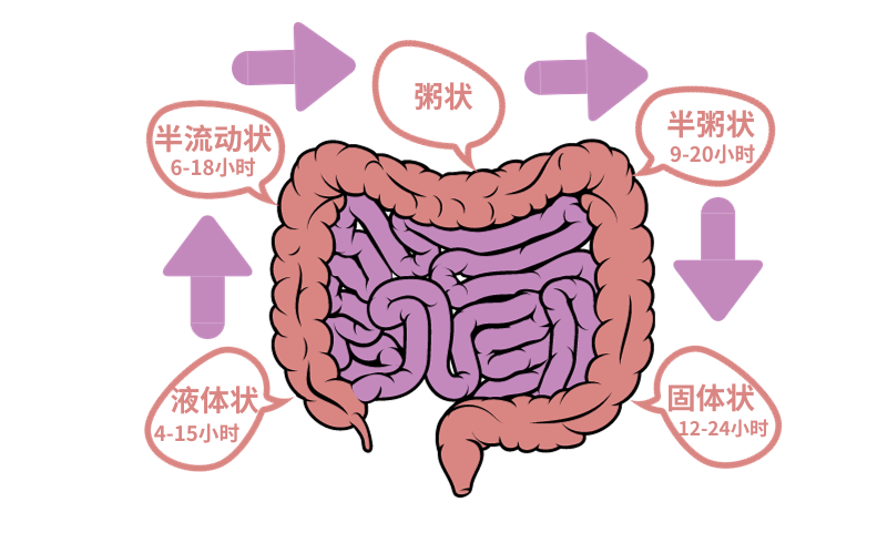 便秘怎么办？一文看清原因、危害及改善方法