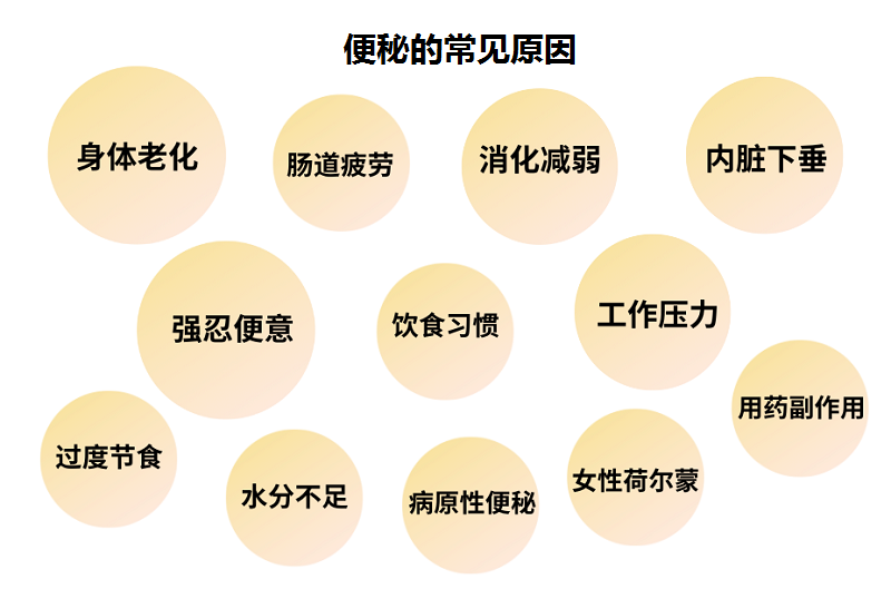 便秘怎么办？一文看清原因、危害及改善方法