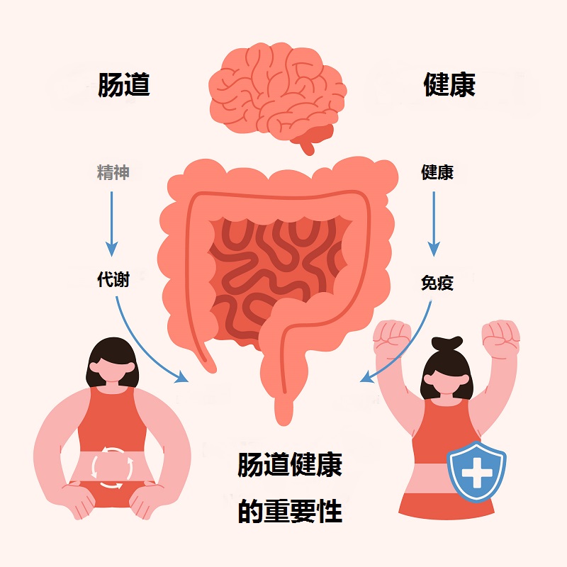 肠道健康的重要性，怎样判断自己肠道是否健康？