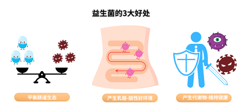 益生菌什么时候吃、怎么吃效果更好？全套懒人包来了