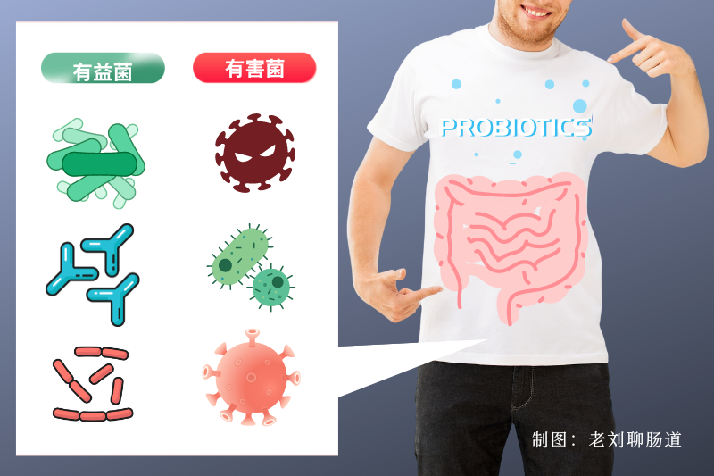 肠道健康的重要性，八成疾病与其有关！