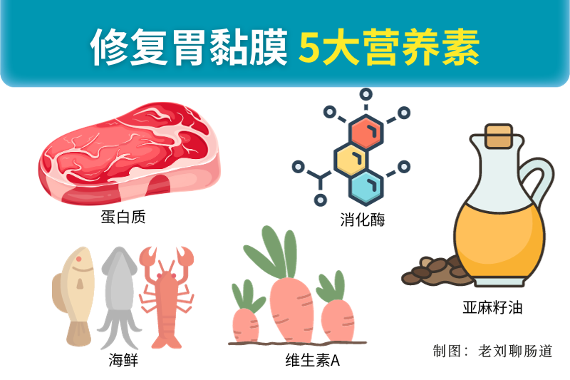 养胃食物有哪些？5大食材让胃回归舒适区