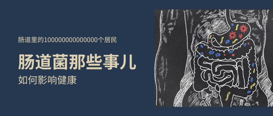 认识你肠道里100万亿个居民，肠道菌群那些事儿